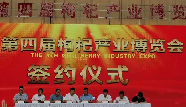Sales hit new high at 4th Goji Berry Industry Expo.jpg