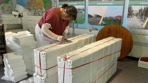 1685434124044077535.jpeg 11.jpeg