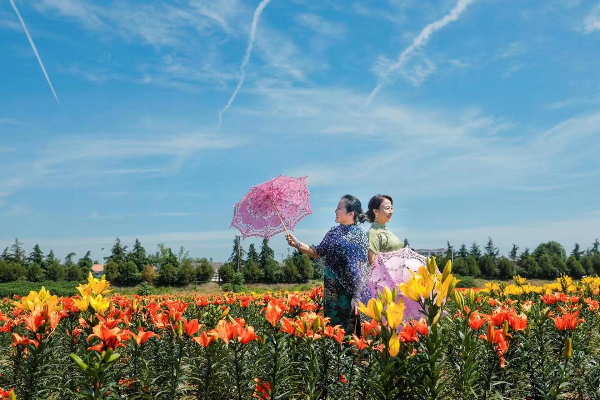 1686207818921087260.jpeg 3.jpeg