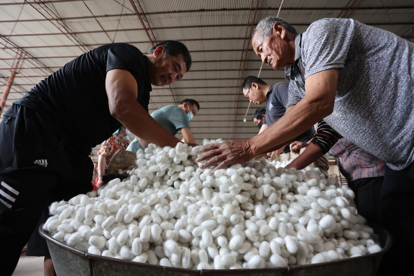 1686560838164034055.jpeg 图片2.jpeg