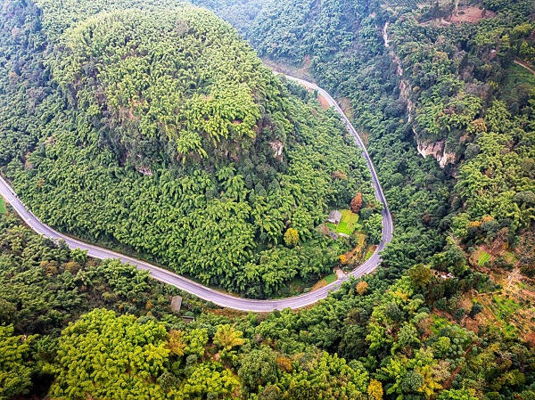 1703060095192060762.jpg 4.jpg