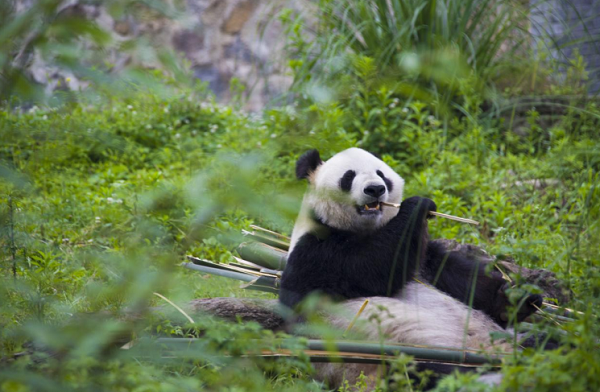 1730187147358087669.png 9.png