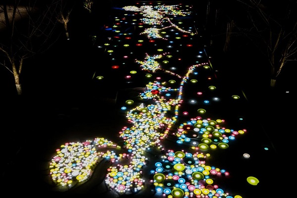 1735874767479086992.jpg 3.jpg