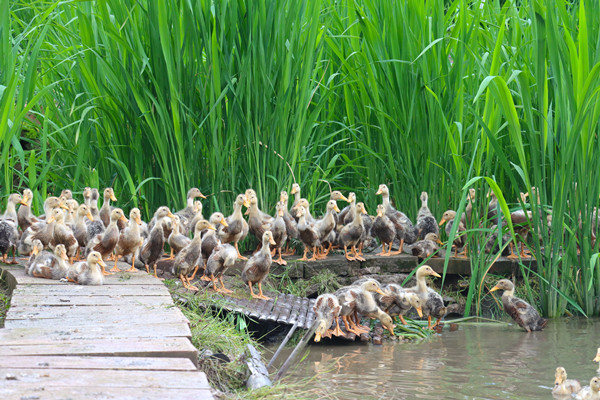 1749106827118098324.jpg 1_副本.jpg