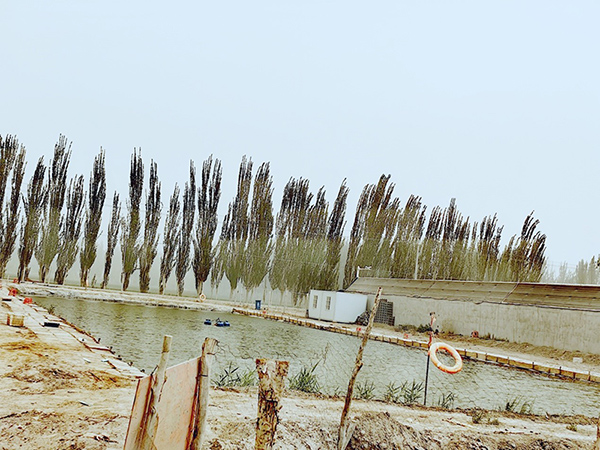 1753957779259092651.jpg 4-1.jpg