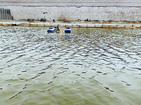 1753957783125009337.jpg 4-2.jpg