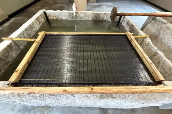 1756878445619074544.png 1.png