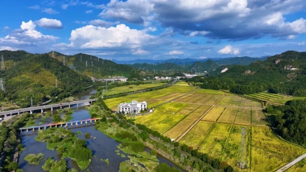 1761029356565085550.jpg 2.jpg