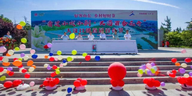 A sea of lilies bloom in Tai'an city