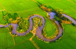 Zhanjiang develops characteristic agriculture
