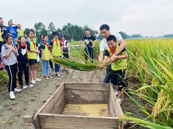 Activities held in Xinjin to celebrate Chinese Farmers' Harvest Festival