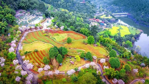 Xinjin's cultural tourism brand stands out at creativity event