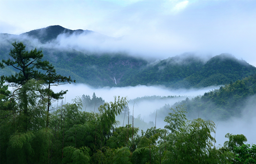 Yangji Mountain National Nature Reserve