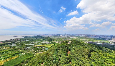 Green efforts pay off in Nantong