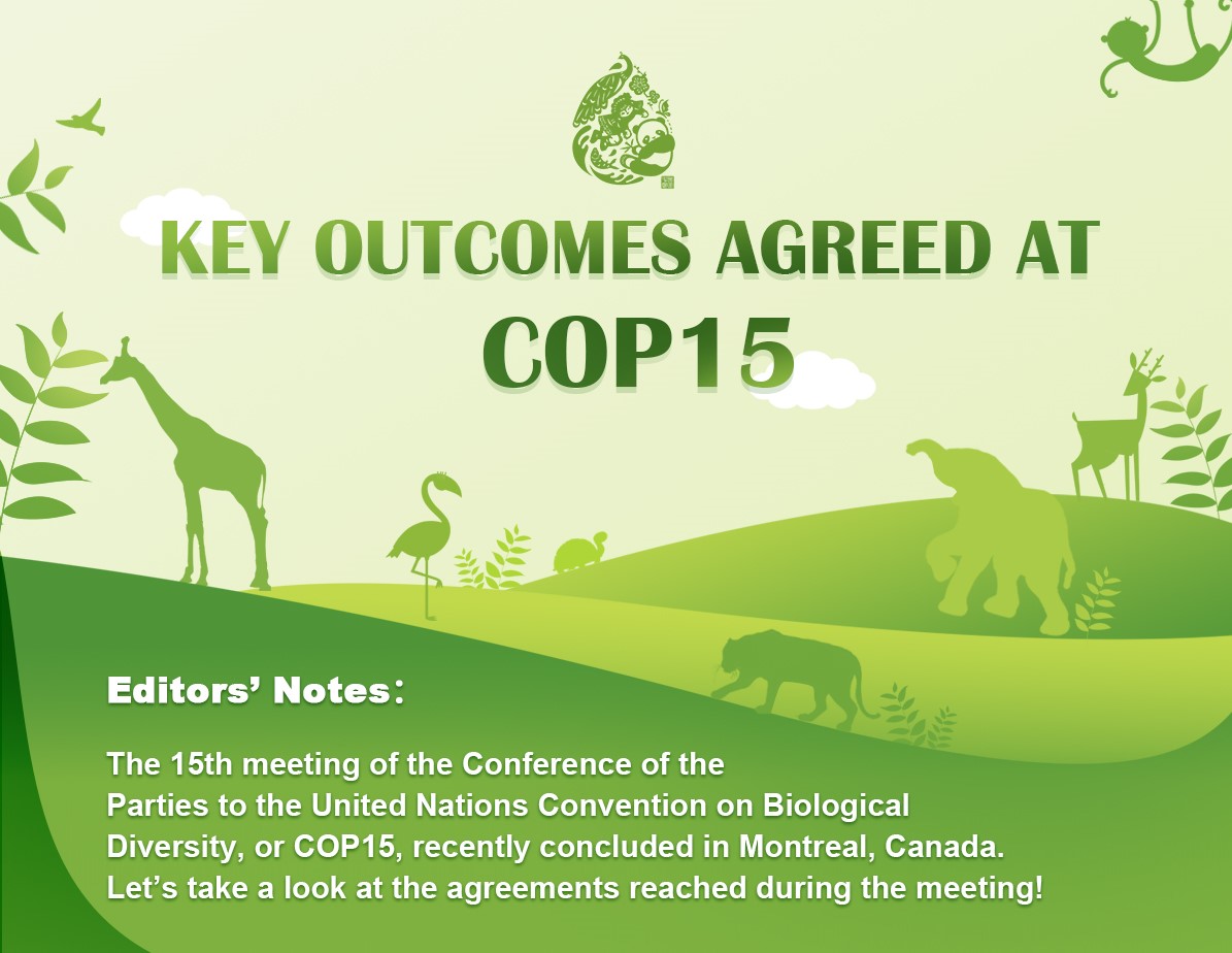 Key outcomes agreed at COP15