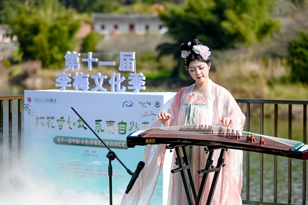 Yongtai county's plum blossoms cultivate cultural tourism