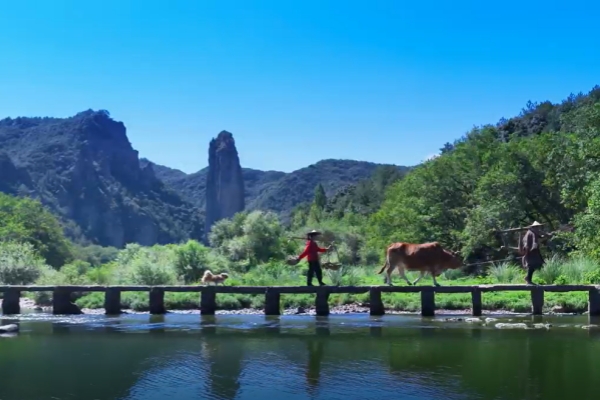 Jinyun's poetic landscapes wow Australian visitor