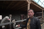 Ostrich breeder in Xinjiang