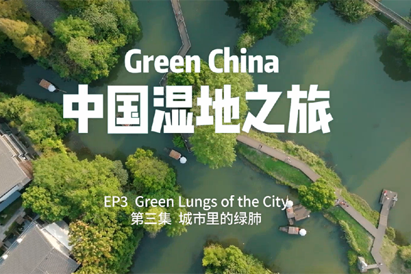 Green lungs of the city