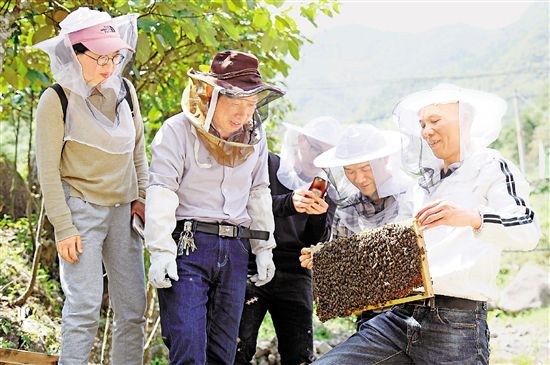 beekeeping.jpg