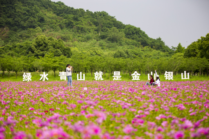 Jiaxing leads Zhejiang in rural disposable income