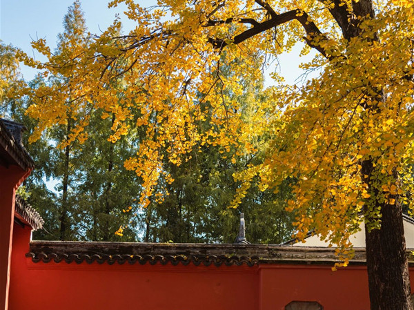 Enchanting, colorful autumn scenery of Quzhou