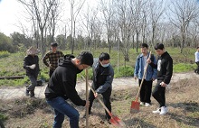 ​Xinjiang village increases incomes by planting trees