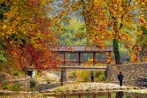 In pics: Beautiful autumn views in Kaihua