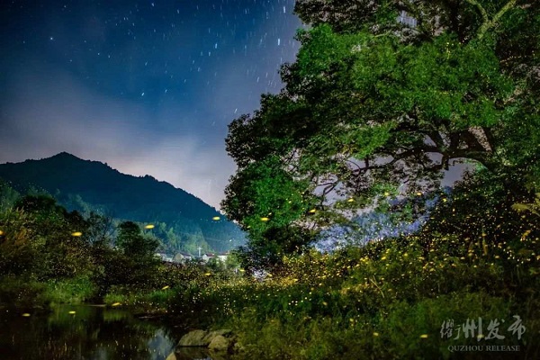 Best places to watch fireflies in Quzhou