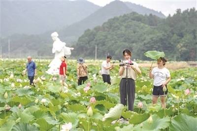 Tianchi village: Destination for admiring lotus flowers, ancient architecture