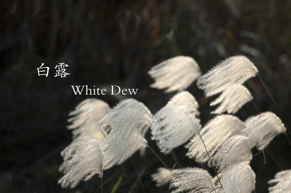 24 Solar Terms: 8 things you may not know about White Dew
