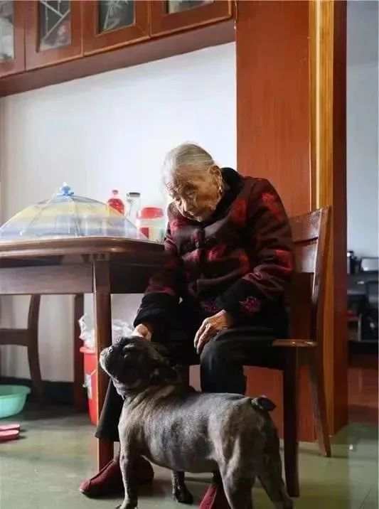 Zhejiang's living legend: Chen Meifeng at 110