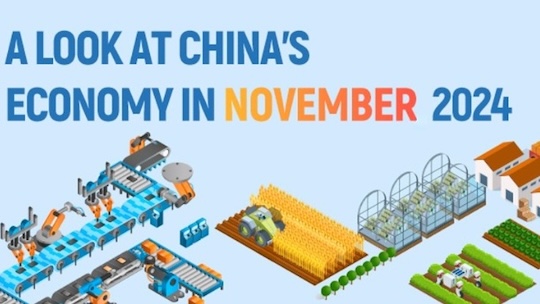 A look at China's economy in November 2024