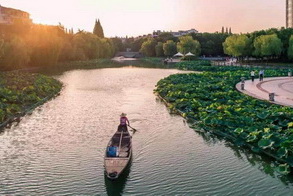 Places to admire lotus flowers in Quzhou