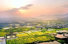Places to admire rape flowers in Quzhou