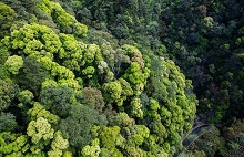 Quzhou increases afforestation by 50,000 mu