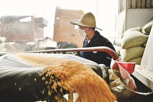 Zhejiang rural residents receive billions of dividends in 2021