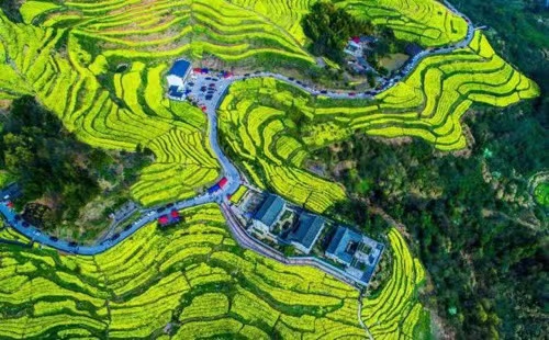 Zhejiang to promote common prosperity in rural areas