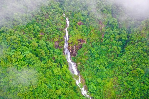 Qianjiangyuan National Park wins intl recognition