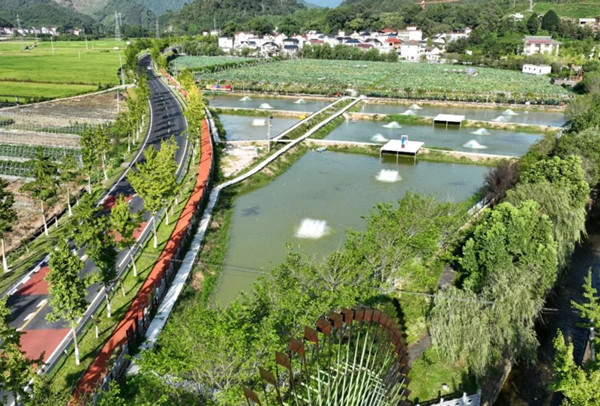 Quzhou's Tantou village taps into agricultural resources to advance tourism