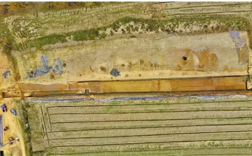 Zhejiang discovers one of world's earliest rice fields