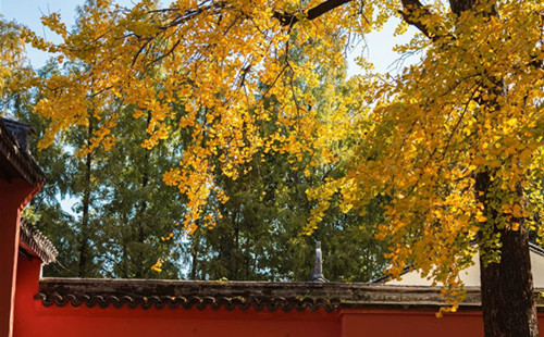 Enchanting, colorful autumn scenery of Quzhou