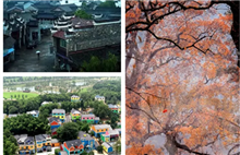 Quzhou 8 scenic spots shortlisted in Zhejiang's key recommendations