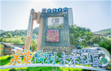 Quzhou's Yudong village adopts vision of future prosperity 