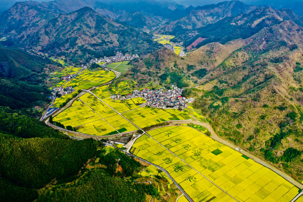 Recommended places for admiring rapeseed flowers in Quzhou