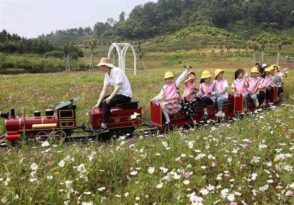 Wuyi countryside.jpg