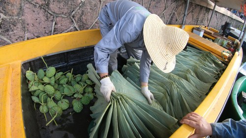 A maintenance worker prepares fresh leaves for the morning sale..jpg