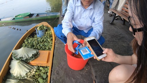 A young woman uses Alipay to buy lotus heads and leaves.jpg