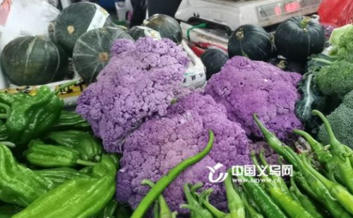 Yiwu farmer grows purple cauliflower