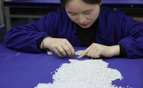 Shanxiahu's pearl industry thrives